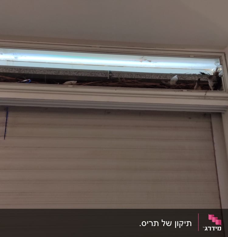 תריסים סגורים עם לכלוך וענפים מעליהם